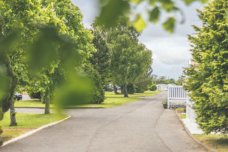 Trees at Viewfield Manor Leisure Park