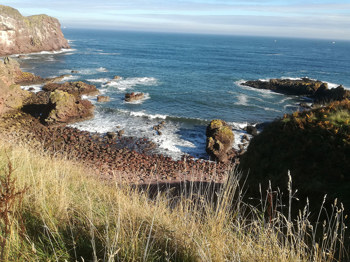 Stunning coastal location