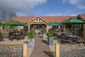 The Canny Owl