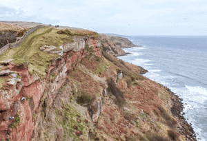 Walks in Berwickshire