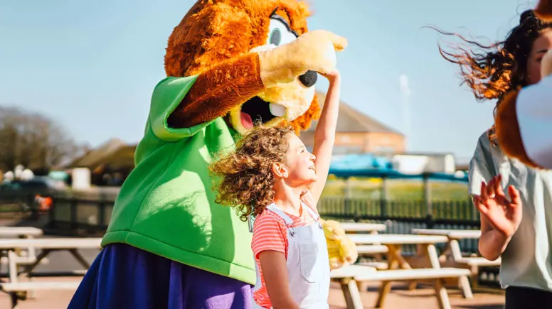 Golden Coast Violet the fox