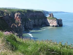 Berwickshire beaches