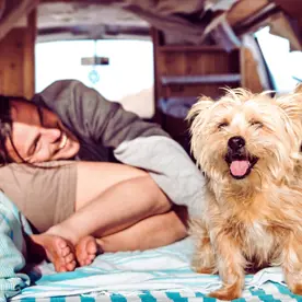 A couple relaxing on pillows and blankets with a dog in their converted touring van, they have a surf board next to them