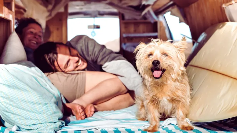 A couple relaxing on pillows and blankets with a dog in their converted touring van, they have a surf board next to them