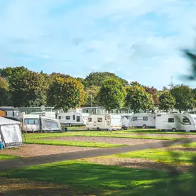 Touring vans and motorhomes in a grassy field with trees 