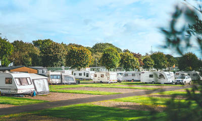 Touring vans and motorhomes in a grassy field with trees 