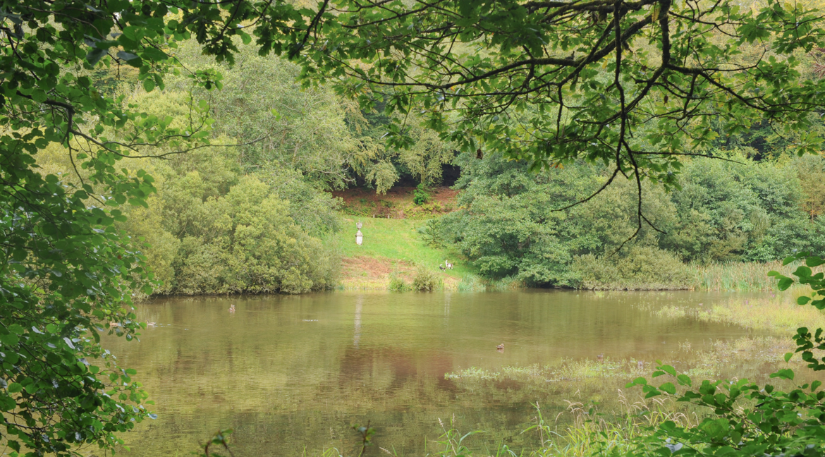 Arlington Court Devon
