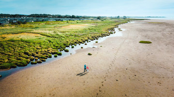 Queensberry Bay beach