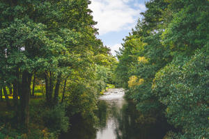 Calm, quiet location