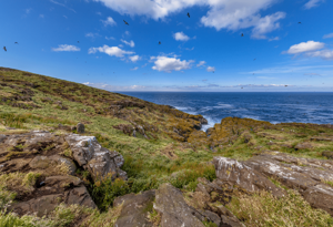 Isle of May Coastline