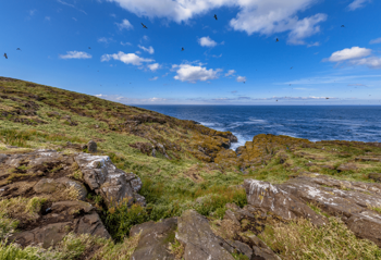 Isle of May Coastline