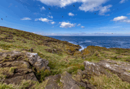 Isle of May Coastline