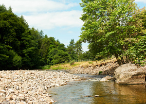 Upgraded outdoor spaces