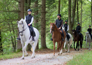 10% off at Kimmerston Riding Centre