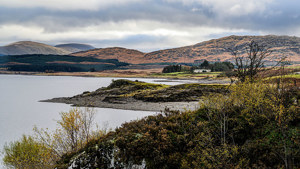 Ayrshire