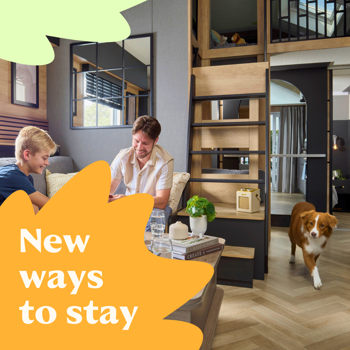 Dog Friendly Accommodation