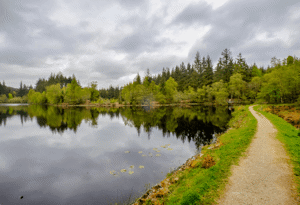 Galloway Forest Park