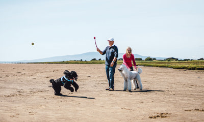 Pet Friendly Holidays