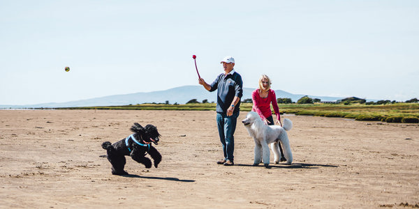 Pet Friendly Holidays