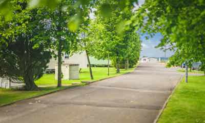 Trees and caravans at Viewfield Manor Leisure Park 